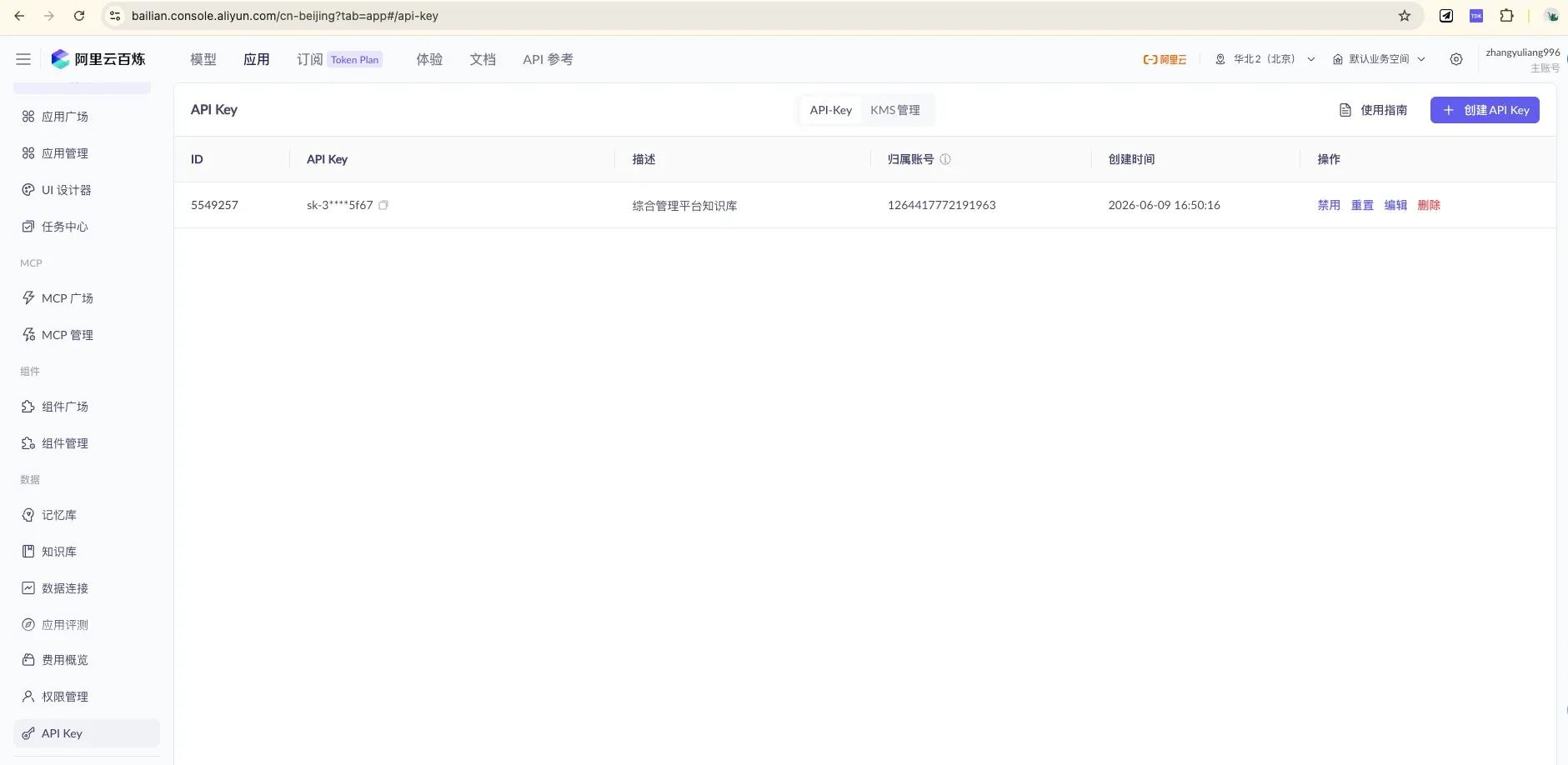 13 API Key 管理